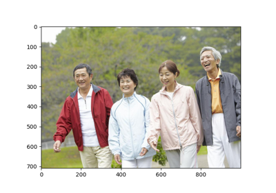 7. Test with ICNet Pre-trained Models for Multi-Human Parsing