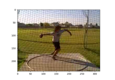 1. Getting Started with Pre-trained TSN Models on UCF101