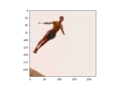 Prepare the HMDB51 Dataset