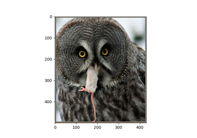Prepare the ImageNet dataset