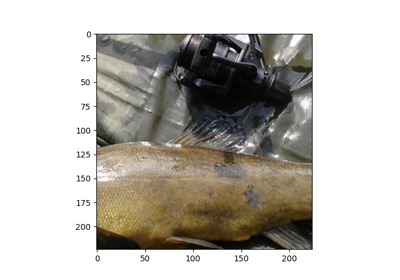 Prepare your dataset in ImageRecord format