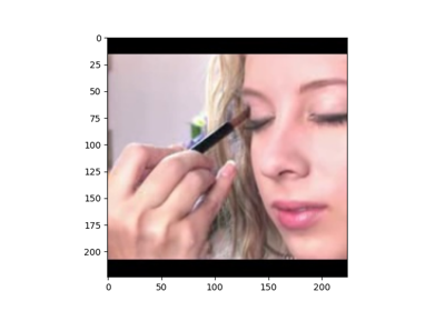 Prepare the UCF101 dataset